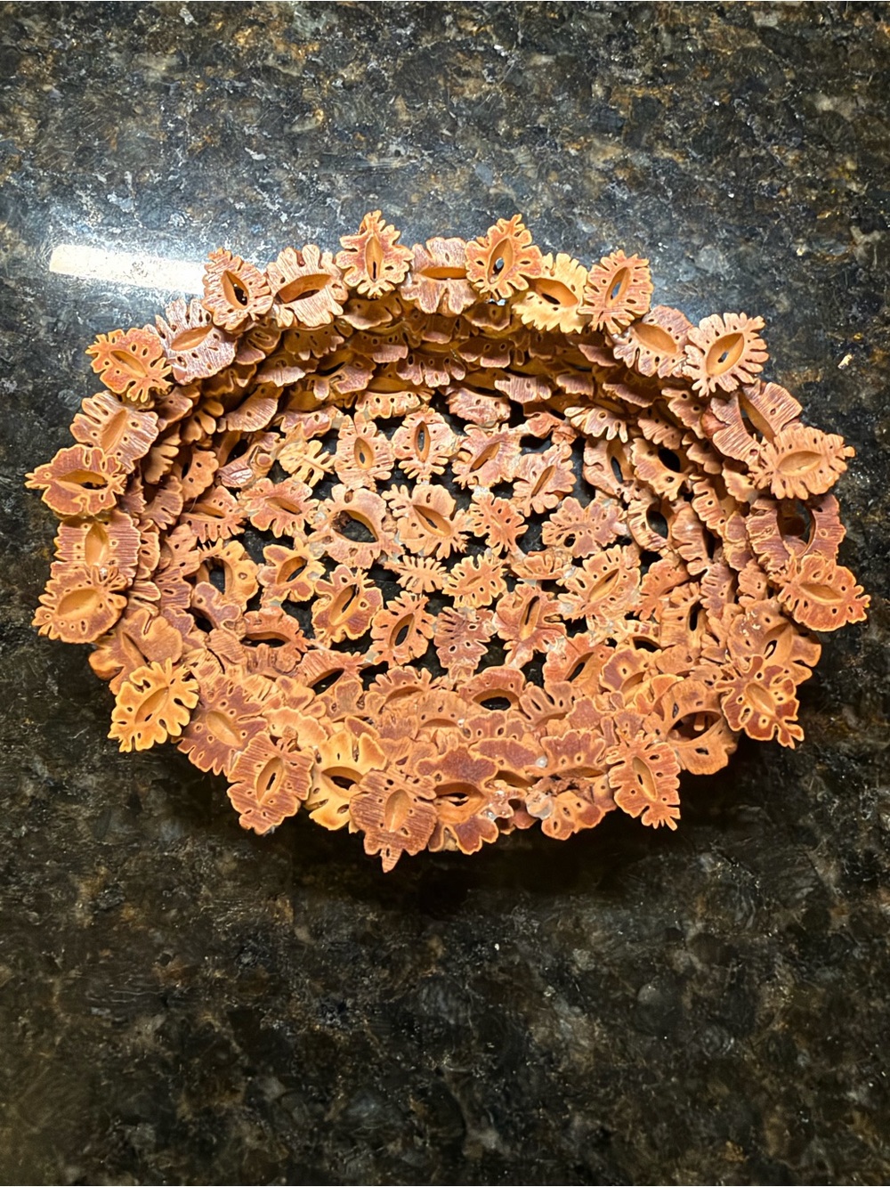 Vintage Folk Art Walnut Shell Catch All Bowl Mid Century Appalachian Tramp Art
